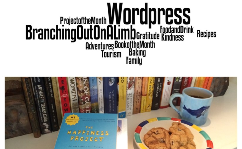 January Book and Project Wrap&nbsp;Up