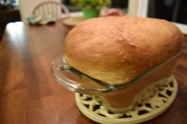 Nikon- What napkins?