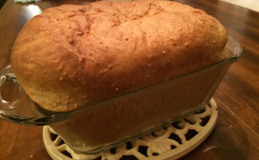 Boring Post Alert! Learning Camera Controls (Unless  You Dig Photos of Shrimp Salad and Freshly Baked&nbsp;Bread)