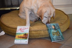 Is Abby choosing "Hild?" Is she in a 7th century Britain mood? Hmmm...