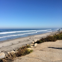 Torrey Pines State Preserve... a nice place to run. Nice and FLAT.