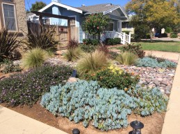 Smart people who can maintain their yard...