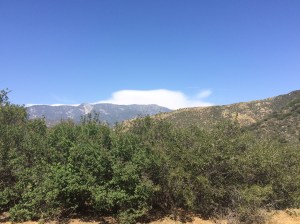 One of the PHENOMENAL views from Mary's home