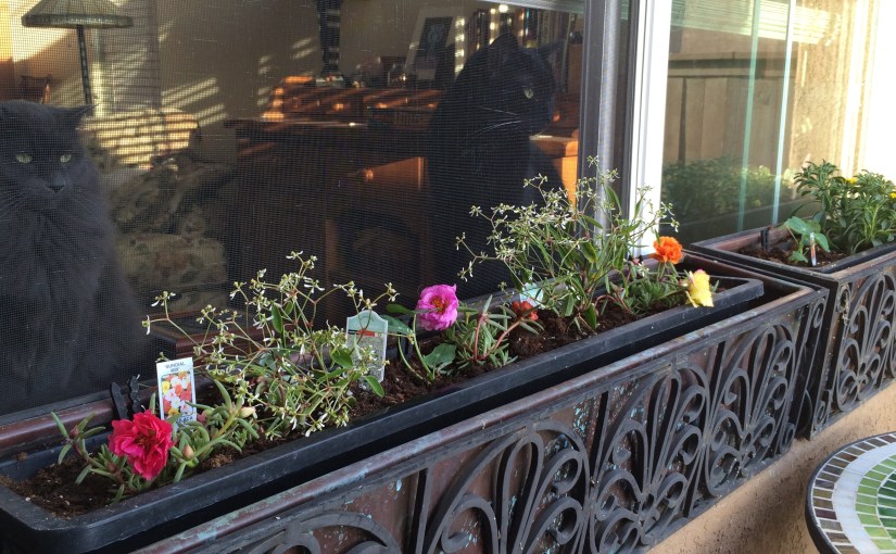 APRIL Project- Do You Clean Up Good? Part&nbsp;One…