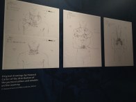 Carter's Illustrations