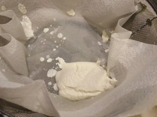 Here's the haul! About a half cup of ricotta after about an hour of fussing with micro-curds