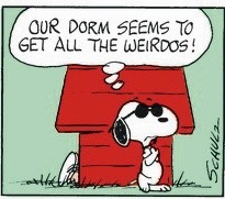 What to be Thankful for- Parents of Collegians&nbsp;Edition