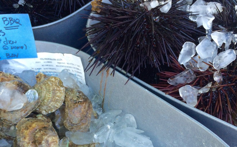 Tuesday’s Farmers Market- Mira&nbsp;Mesa