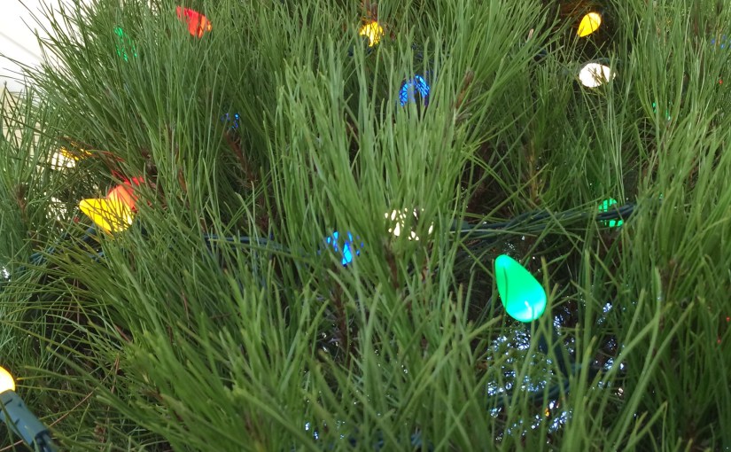 On Holiday Movies and Generosity…