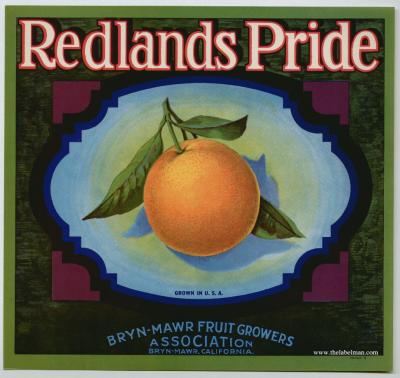 The Inland Empire-Shaken, not&nbsp;Scared